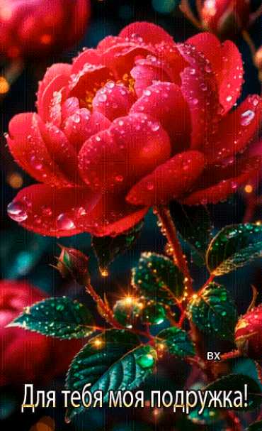 Для тебя моя подружка !
