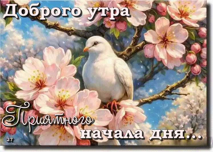 Доброе утро ! Приятного начала дня…