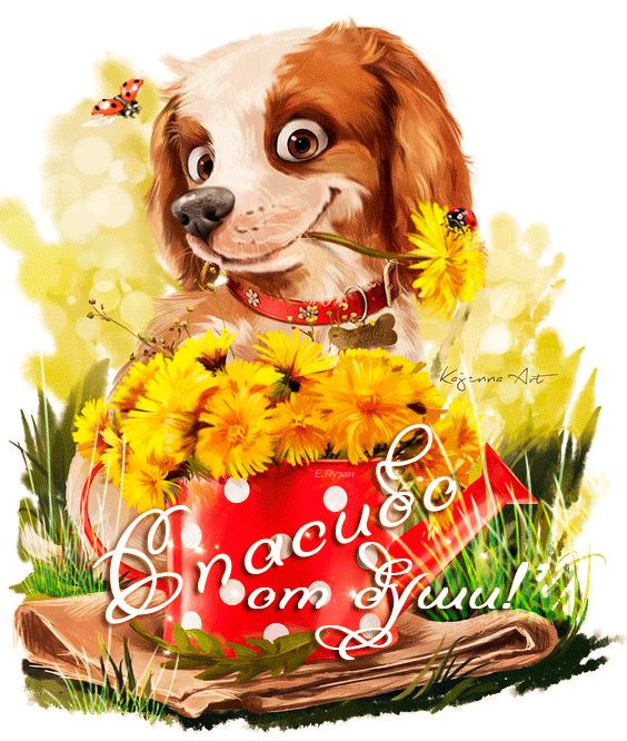 Спасибо от души !