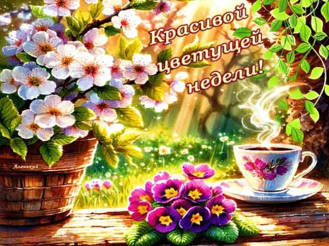 Красивой цветущей недели !