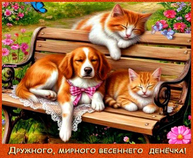 Дружного, мирного весеннего денёчка !