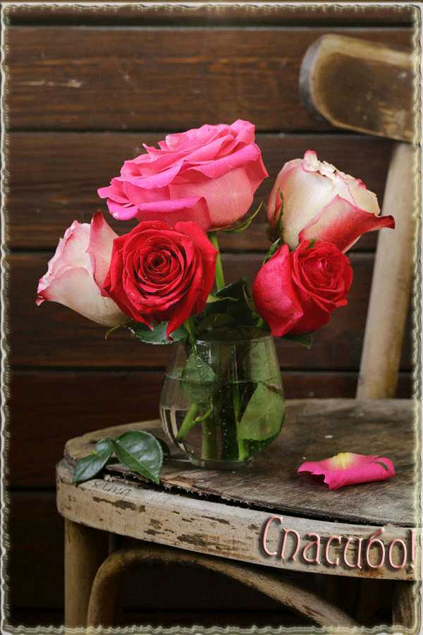 Спасибо ! Красивые розы