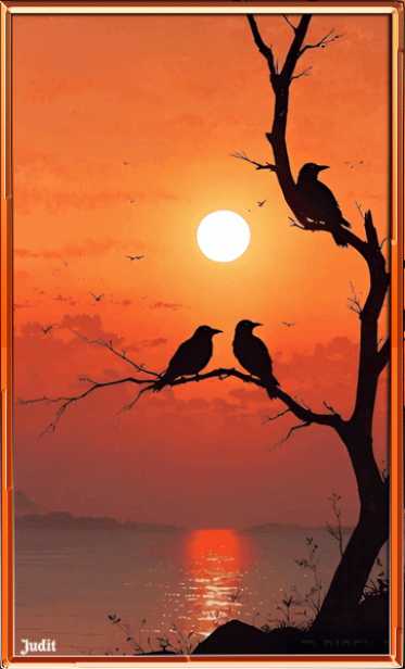 На Закате gif открытка