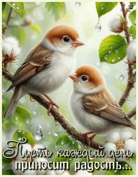 Пусть Каждый День Приносит Радость… Открытка гиф