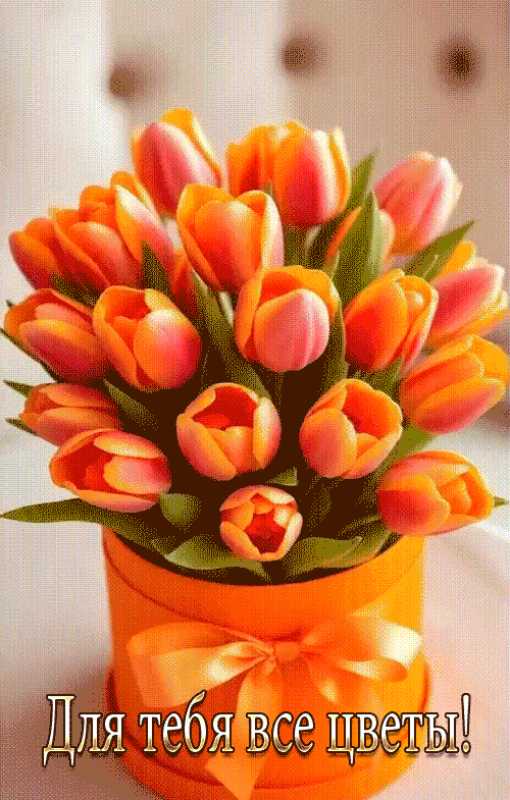 Для тебя все цветы !