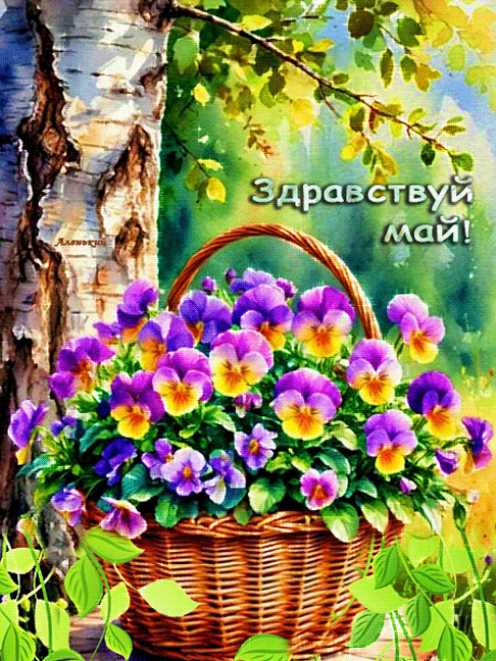 GIF здравствуй май !