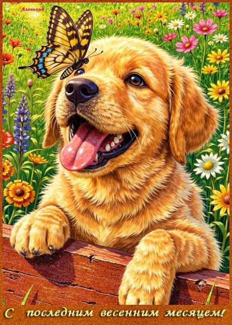 С Посленим весенним месяцем !