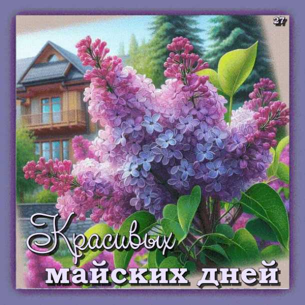 Красивых майских дней