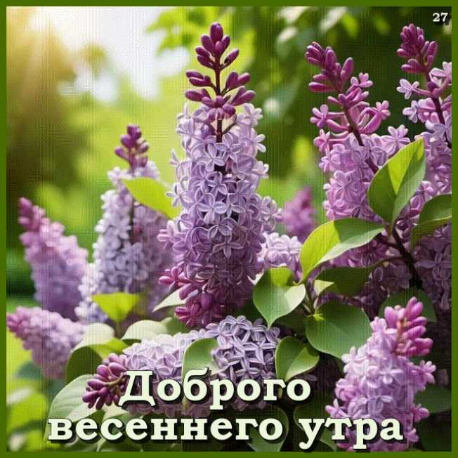 Гиф доброе утро ! открытка