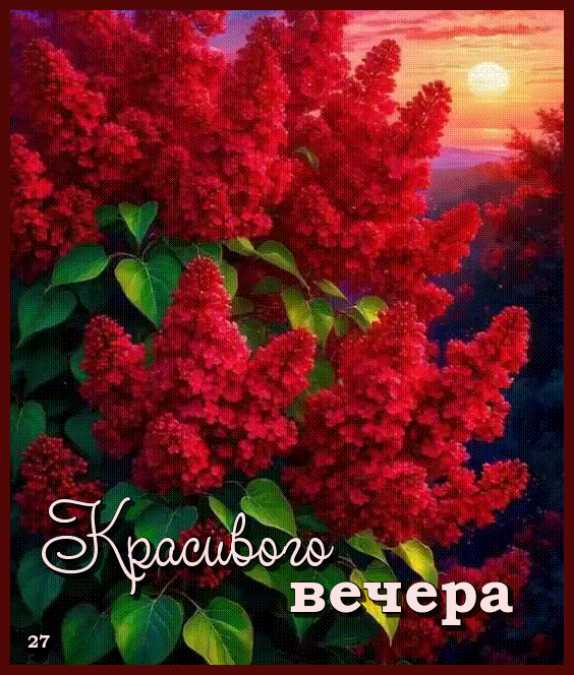 Красивого Вечера ! Анимация