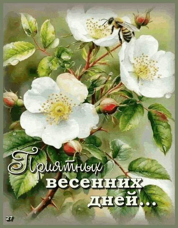 Поздравление доброго дня ! анимация