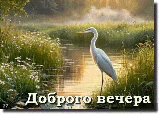 Доброго Вечера ! Анимационная картинка