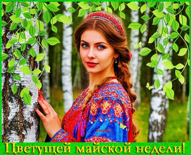 Уветущей майской недели !