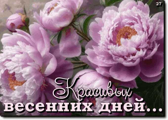 Доброго Дня ! gif открытка
