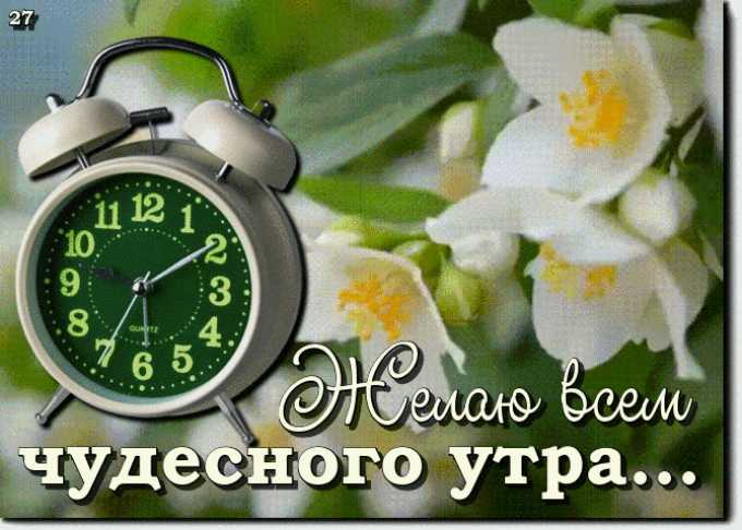 Желаю всем чудесного утра…