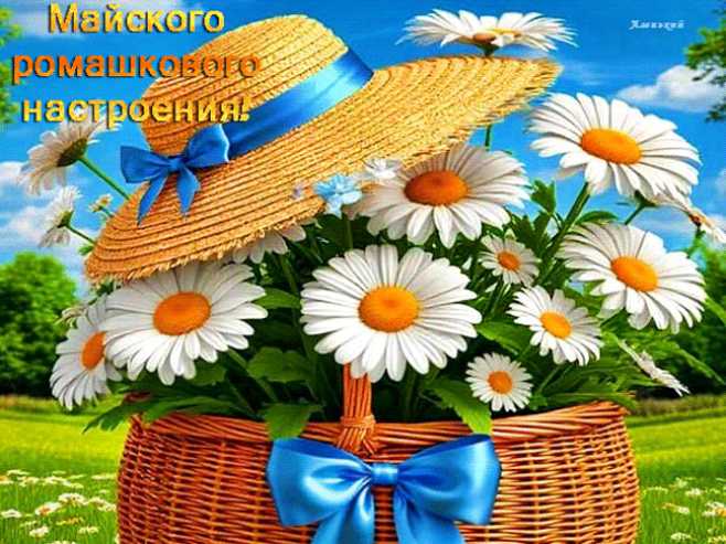 Майского ромашкого настроения !
