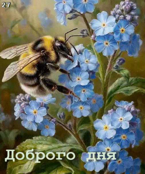 Доброго Дня ! Гиф
