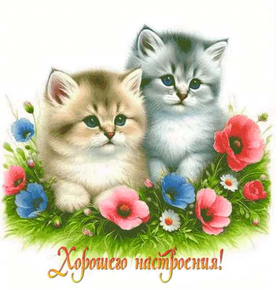 Гиф хорошего настроения !