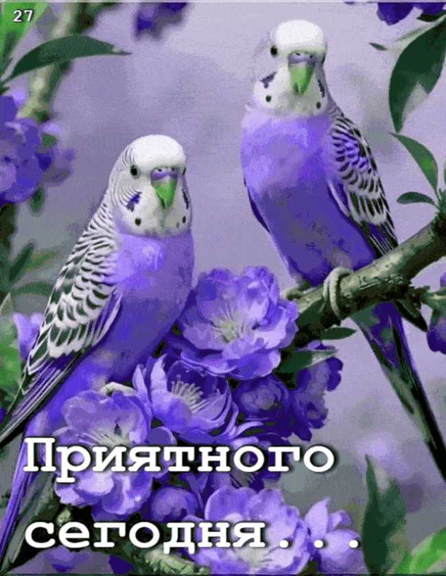 Приятного Дня ! Открытка гиф