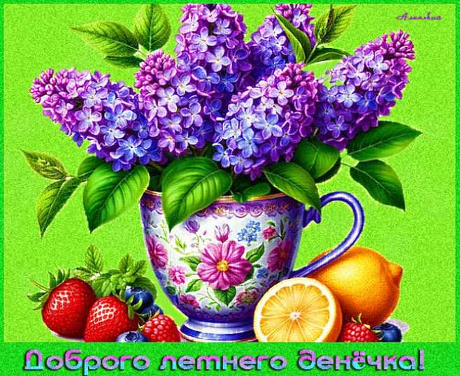 Добрго летнего денёчка !