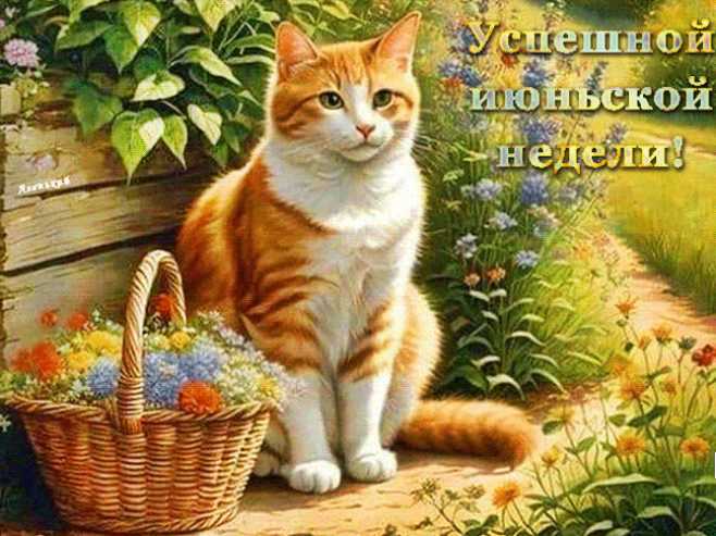 Успешной июньской недели !
