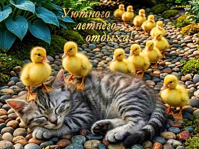 Уютного летнего отдыха !