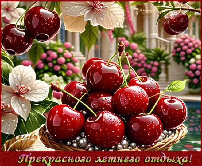 Прекрасного летнего отдыха !