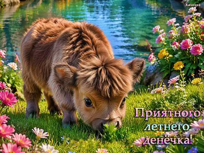 Приятного летнего денёчка !