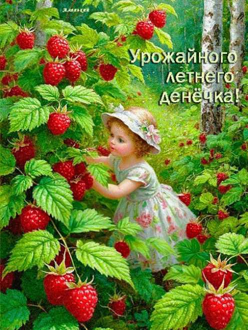 Урожайного летнего денёчка !