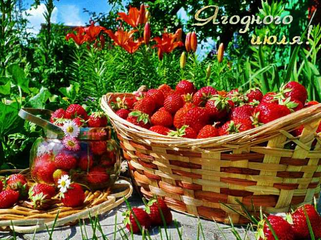 Ягодного июля !
