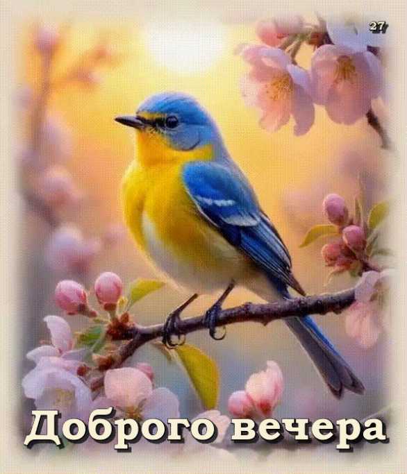 Доброго Вечера ! Открытка гиф