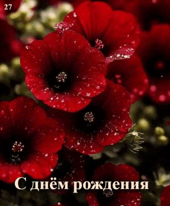 Картинки с днём рождения !  gif анимация
