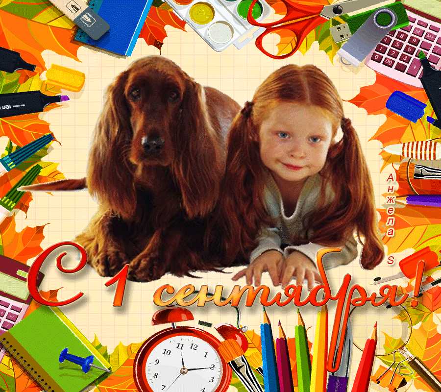 C 1 сентября !