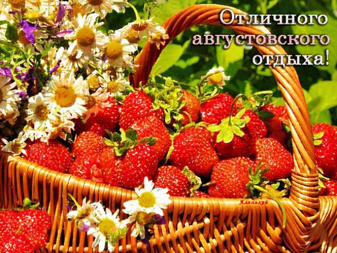 Отличного августовского отдыха !