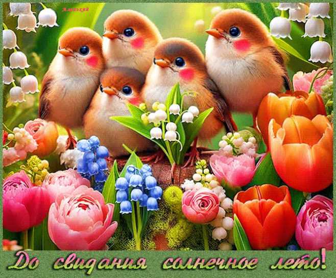 Картинки до свидания лето !