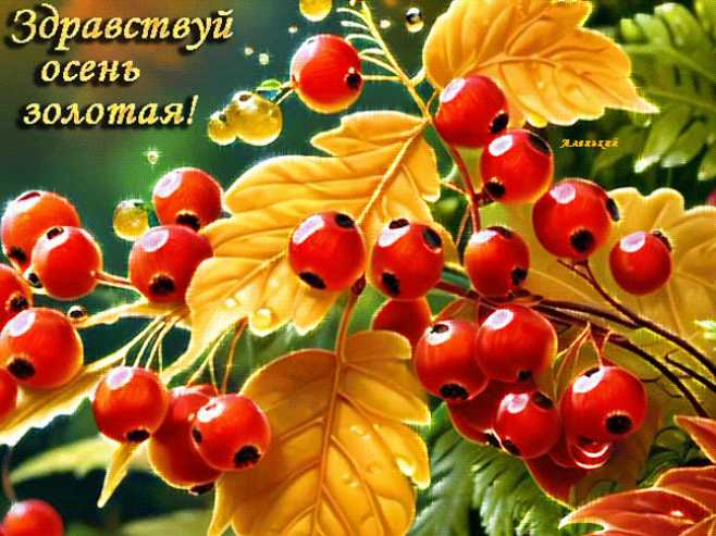 Здоавствуй осень золотая !