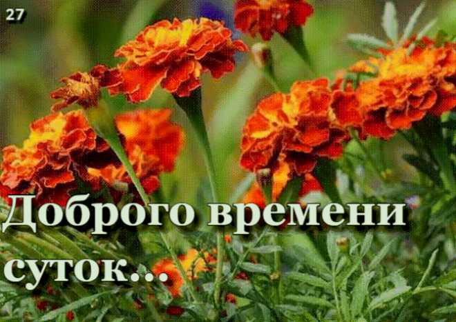 Доброго Времени Суток ! Картинка gif