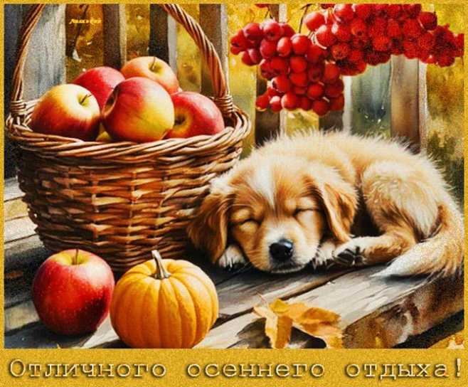 Картинки отличного осеннего отдыха !