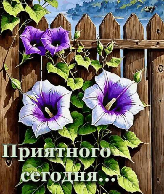 Приятного Сегодня ! ! ! Картинка gif