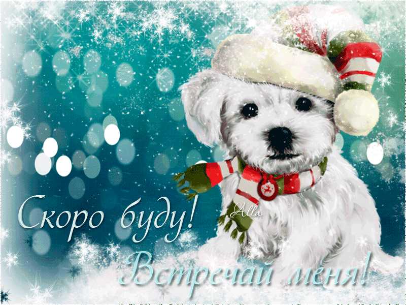 Встречай меня !