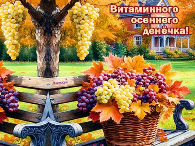Витаминного осеннего денёчка !