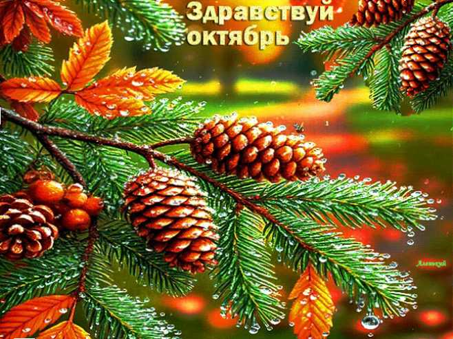 Здравствуй октябрь !