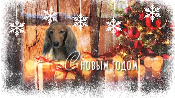 Новогодняя картинка с собакой