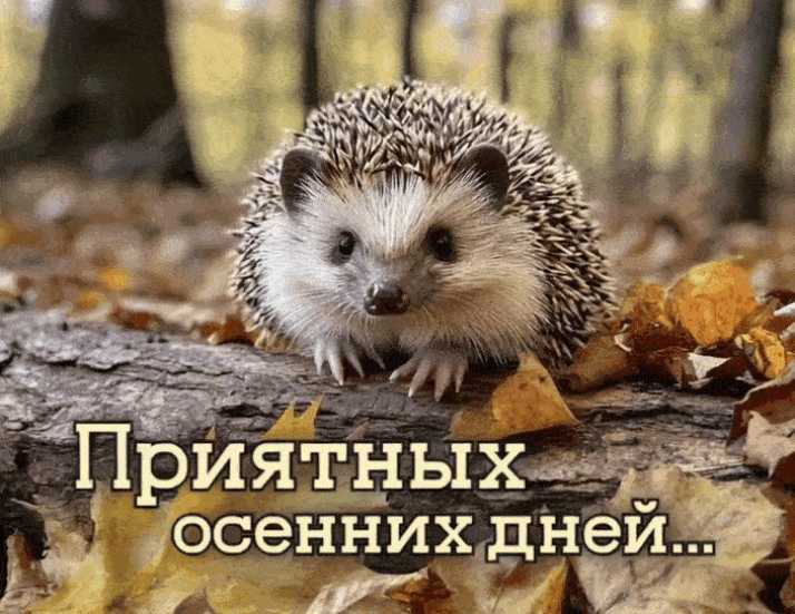 Доброго Дня ! Анимационная картинка