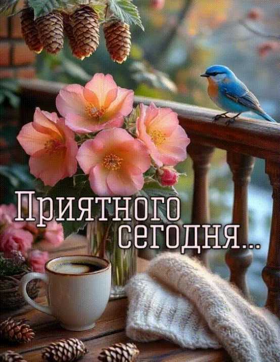 Приятного Сегодня ! ! ! Картинка