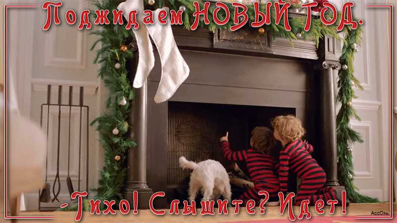 Поджидаем Новый год !