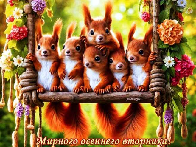 Мирного осеннего вторника !