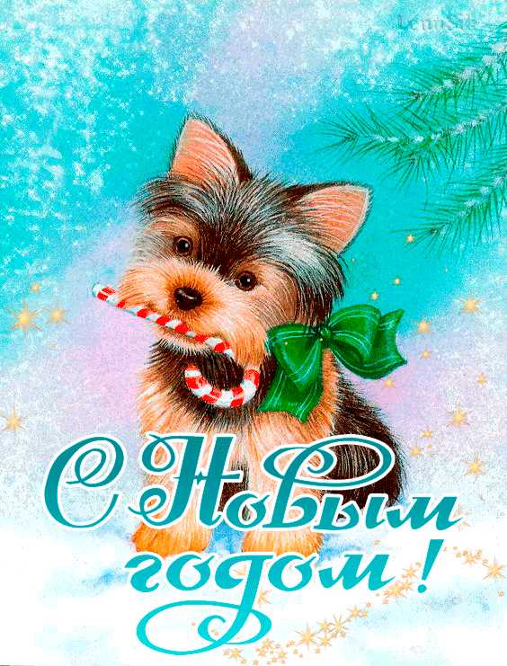 Новогодняя собака. С Новым Годом !