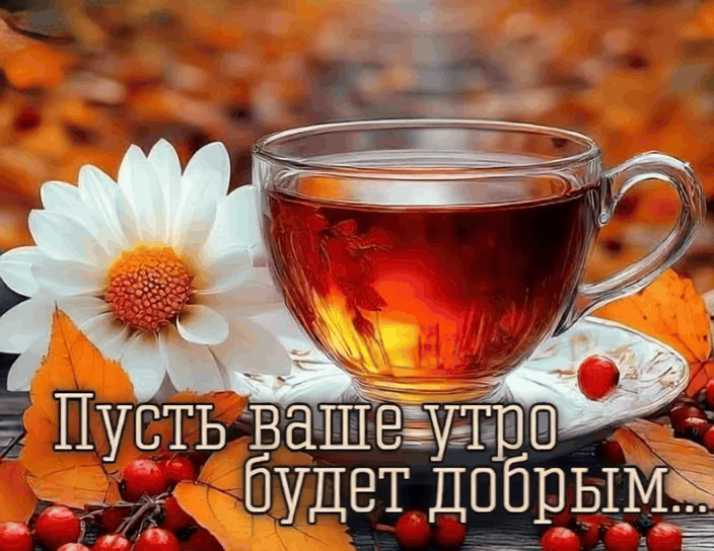 Пусть Ваше утро будет добрым…