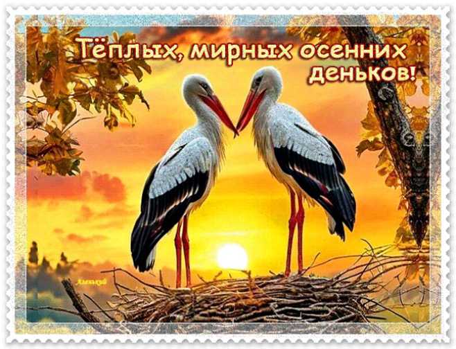 Тёплых , мирных осеннихз деньков !